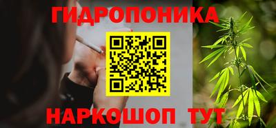 гашик Гусев
