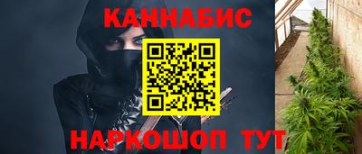 гашик Гусев
