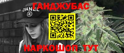 гашик Гусев