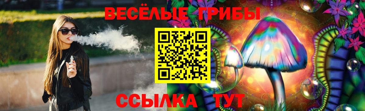 Кингисепп  Галлюциногенные грибы Psilocybine cubensis  Вход с VPN  Псилоцибиновые грибы мухоморы 