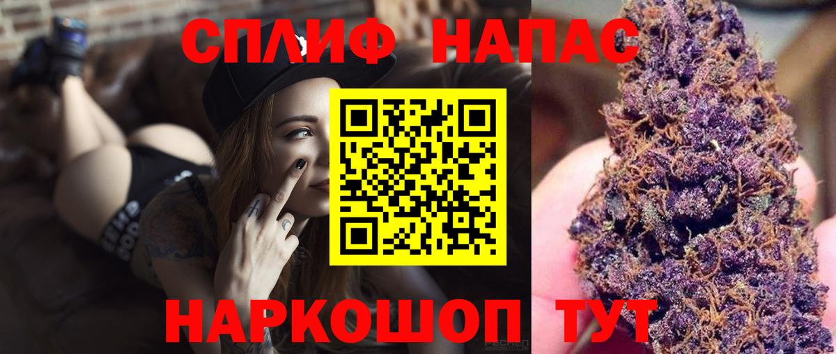 Каннабис семена Кингисепп